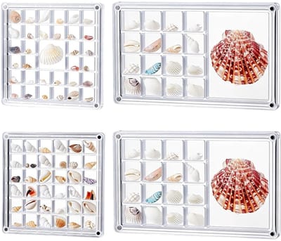 Dailygoods- Seashell Display Box - 4 Stuks Acryl - Vitrinekast voor Schelpen - Bead Organizer - Kleine Craft Opslag - Ideaal voor Interieurdecoratie