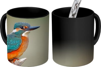 Magische Mok - Foto op Warmte Mokken - Koffiemok - Vogel - IJsvogel - Tak - Magic Mok - Beker - 350 ML - Theemok