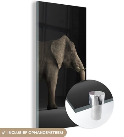 MuchoWow® Glasschilderij 20x40 cm - Schilderij acrylglas - Olifant - Dieren - Licht - Foto op glas - Schilderijen