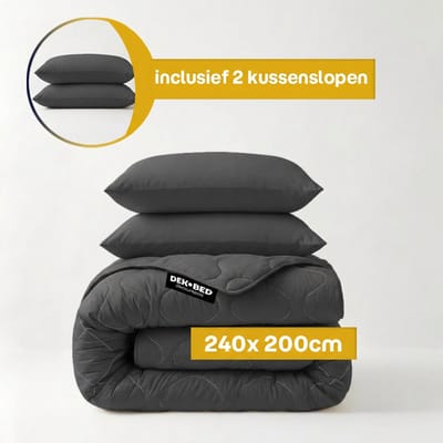 Dekbed-Discounter - Sleeptime Dekbed Zonder Overtrek 240 x 200 cm - Inclusief 2 kussenslopen - Wasbaar op 40 graden - Verkoelend dekbed - Antraciet