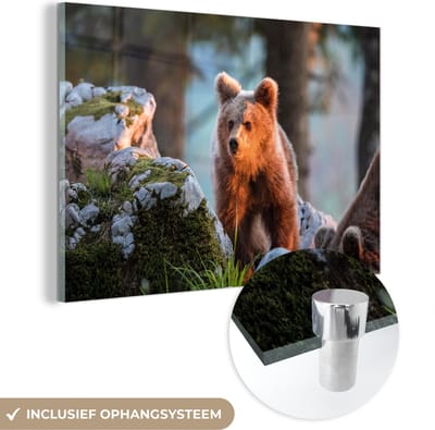 MuchoWow® Glasschilderij 60x40 cm - Schilderij acrylglas - Beer - Bruin - Dier - Foto op glas - Schilderijen