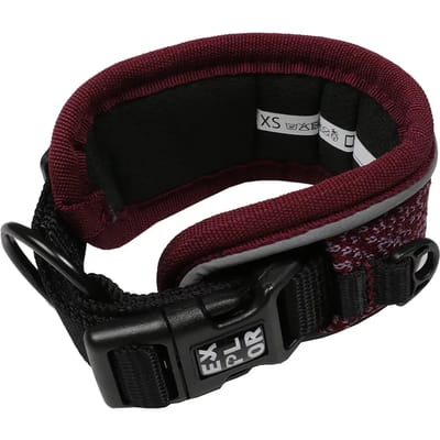 Duvoplus - Halsband Voor Dieren - Hond - Ultimate Fit Control Halsband Fashion Xs - 30-33cm Plum Purple - 1st