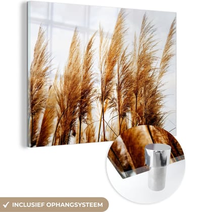 MuchoWow® Glasschilderij 40x30 cm - Schilderij acrylglas - Pampasgras - Zon - Gras - Foto op glas - Schilderijen