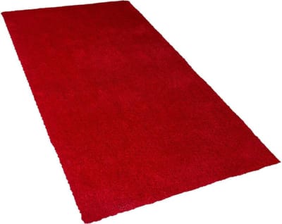 DEMRE - Shaggy vloerkleed - Rood - 80 x 150 cm - Polyester