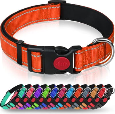 Taglory Reflecterende nylon hondenhalsband met veiligheidsgesp, verstelbare halsband, zachte neopreen voering, voor middelgrote honden, oranje