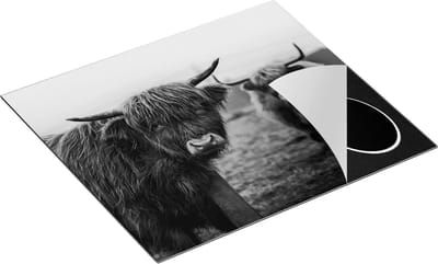 Chefcare Inductie Beschermer Twee Schotse Hooglanders in de Weide - Zwart Wit - 60x50 cm - Afdekplaat Inductie - Kookplaat Beschermer - Inductie Mat