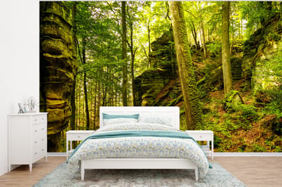Behang - Fotobehang Bomen - Steen - Bos - Natuur - Planten - Breedte 375 cm x hoogte 280 cm
