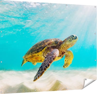 Gards Tuinposter Schildpad Zwemt in de Helder Blauwe Zee - 150x120 cm - Tuindoek - Tuindecoratie - Wanddecoratie buiten - Tuinschilderij