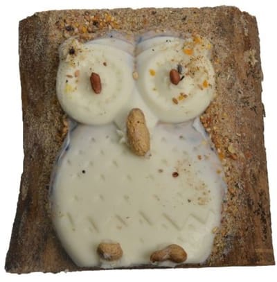Wielink Uil Vogeltaart op plank