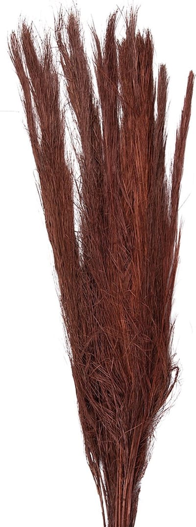Clayre & Eef Droogbloemen 85 cm Rood Droogbloemen