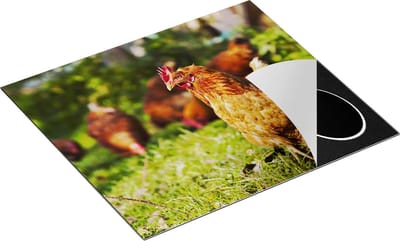 Chefcare Inductie Beschermer Kippen in het Gras - 60x50 cm - Afdekplaat Inductie - Kookplaat Beschermer - Inductie Mat