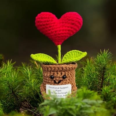 Handgemaakte Hartvormige Decoratieplant met Inspirerende Boodschap
