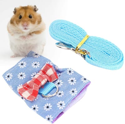 Dailygoods- Harnas Kleine Huisdieren - Ademend Harnas - Verstelbare Riem - Lichtgewicht Ontwerp - Driedimensionaal Design - Eenvoudig aan/uit trekken - Huisdierharnas