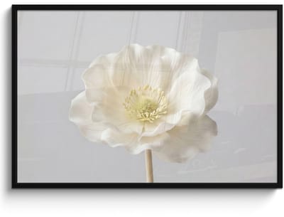 Poster in lijst - Fotolijst 120x80 cm - Posters - Bloem - Minimalistisch -Wit - Posterlijst zwart - Decoratie - Wanddecoratie woonkamer - Muurdecoratie slaapkamer