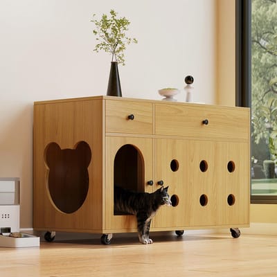BLACKCOLORS - Kattenbakmeubel (verplaatsbare kattenbak) - Kattenkast/kattenhuis - Afneembare zandafvoerplaat - Geurgeïsoleerd - Zonder kattenbak - 100×45×66 cm - Natuurhoutkleur, geel esdoornkleur