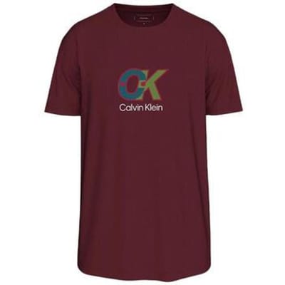 T-shirt Korte Mouw Calvin Klein Jeans LV04RD821G