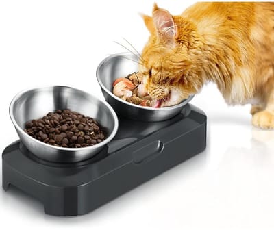 GELLDG Kattenbak - Kattenvoerbak - 15° kantelbare nekbeschermingsbak - Roestvrij staal - Antislip siliconen basis - Geschikt voor katten, katten en puppy's