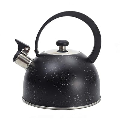 Dailygoods - Roestvrijstalen Waterketel van 2,5 Liter voor Inductie en Gas
