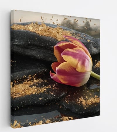 Saammp Canvas Schilderij - Tulp op Steen - Rust - Abstract - 20x20 - Foto op canvas - Wanddecoratie - Muurdecoratie Woonkamer - Kantoor Decoratie