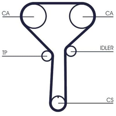 Getande riem CONTINENTAL CTAM CT1254