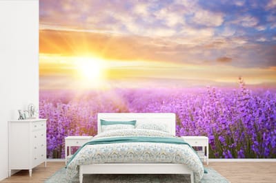 Behang - Fotobehang Lavendel - Zon - Lucht - Natuur - Breedte 390 cm x hoogte 260 cm