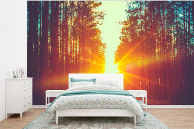 Behang - Fotobehang Zonsondergang - Bomen - Bos - Natuur - Breedte 400 cm x hoogte 300 cm