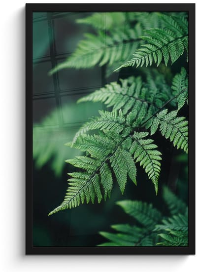 Poster in lijst - Fotolijst 40x60 cm - Posters - Varenblad - Groen - Structuur - Wazig - Posterlijst zwart - Decoratie - Wanddecoratie woonkamer - Muurdecoratie slaapkamer