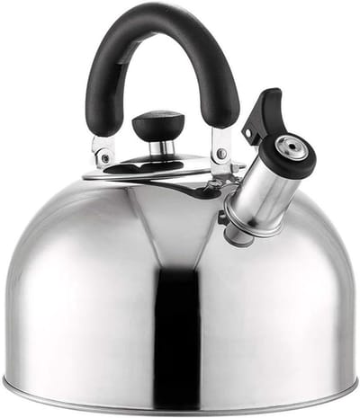 Roestvrijstalen Waterkoker - Fluitketel - Water Koken - Hittebestendig Handvat - 5L Capaciteit - Zilver