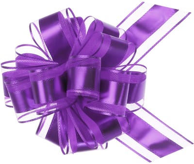 Solidchoice- Trekstrikken 12 stuks 22,5 cm - Extra grote Metallic Organza - Geschenkverpakking - Bruiloften - Verjaardagen - Luxe strikken - Geschenkstrikken