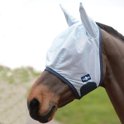 Vliegennet voor paard Weatherbeeta