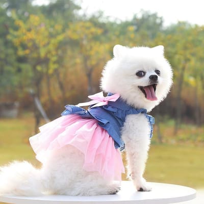 Jupe en Denim Teddy 5 Tailles Tissu Confortable Aéré Finition Antibactérienne Mode Voyage Fournitures pour Chien Gilet Cowboy pour Chien Denim XS gray
