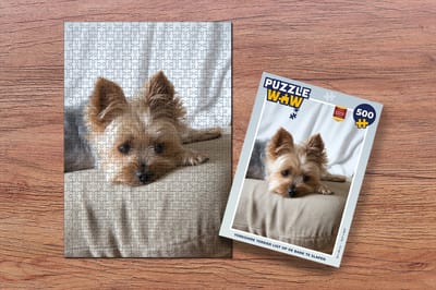 Puzzel Yorkshire Terrier ligt op de bank te slapen - Legpuzzel - Puzzel 500 stukjes