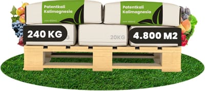 Patentkali Kalimagnesium Meststof - 12X = 240 Kg Voor 4800 M2 - Bevat Natuurlijke Kieseriet - Bevordert De Wortelgroei, Winterhardheid - Rijk Aan Magnesium - Bevat Geen Stikstof - Voor Gevoelige En Speciale Gewassen - Organifer