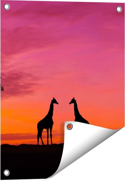 Gards Tuinposter Twee Giraffe Silhouetten bij Zonsondergang - 40x50 cm - Tuindoek - Tuindecoratie - Wanddecoratie buiten - Tuinschilderij