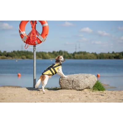 Trixie Zwemvest Hond - Geel/Zwart - S - 42-66 x 35 cm - Tot 20 kg