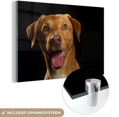 MuchoWow® Glasschilderij 150x100 cm - Schilderij acrylglas - Hond - Huisdieren - Portret - Foto op glas - Schilderijen