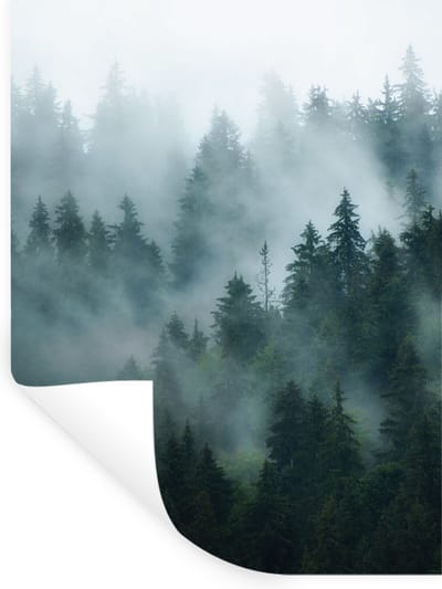 Muurstickers - Sticker Folie - Mist - Bomen - Bos - 30x40 cm - Plakfolie - Muurstickers Kinderkamer - Zelfklevend Behang - Zelfklevend behangpapier - Stickerfolie