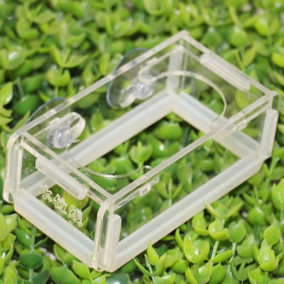 Mangeoire à nourriture pour poissons en acrylique pour aquarium avec ventouse Installation simple beige