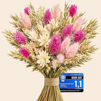 Gedroogde Bloemen Boeket - Natuurlijke Decoratie - Woonkamer Aankleden - Handgebonden Decoratie - Middelgroot - Roze