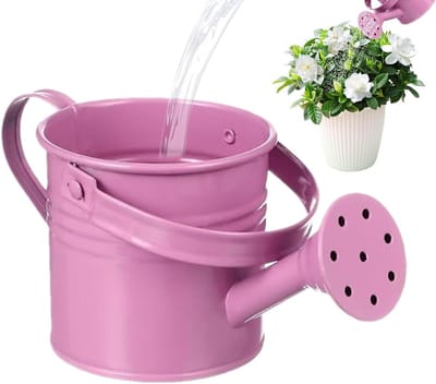 Roze Schenkkan - Gieter Bloemen - Planten Water Geven - Roestbestendig IJzer - 20W x 6H cm - Roze