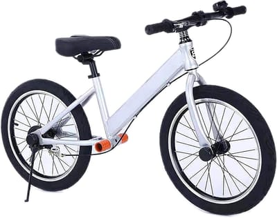Grote Loopfiets - Oefenfiets Volwassenen - Balans Leren - Met Handrem - 18 Inch Banden - Zilver