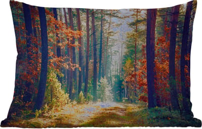 Buitenkussens - Tuin - Bos - Zon - Natuur - Herfst - 50x30 cm