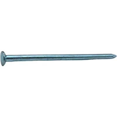 Sencys Spijkers Met Platte Kop Gegalvaniseerd 5,5x125mm - 10 Stuks