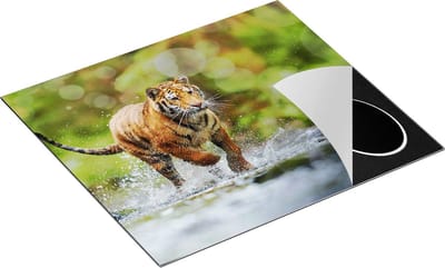 Chefcare Inductie Beschermer Tijger Loopt in het Water - 60x50 cm - Afdekplaat Inductie - Kookplaat Beschermer - Inductie Mat