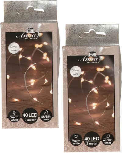 Anna's Collection Draadverlichting lichtsnoer - 2x - 40 led lampjes - warm wit - zilver draad - 200 cm - lichtdraad - kerstverlichting