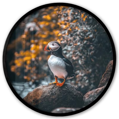 Poster in lijst Rond - Fotolijst 40x40 cm - Posters - Papegaai - Vogel - Rots - Wit - Ronde posterlijst zwart - Decoratie - Wanddecoratie woonkamer - Muurdecoratie slaapkamer