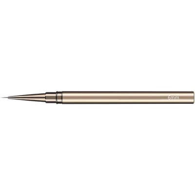 Nagelkunst Pen Ergonomisch Betrouwbaar Lichtgewicht Eenvoudige Bediening Robuuste Nagelkunst Liner voor Thuisnagel