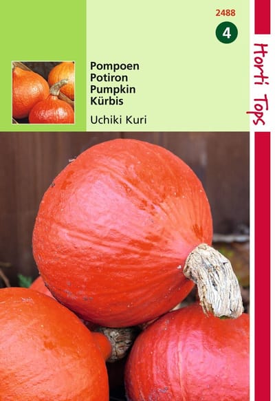 2 stuks - Hortitops - Pompoenen Oranje Zon