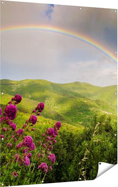 Gards Tuinposter Regenboog in de Heuvel Bossen - 120x160 cm - Tuindoek - Tuindecoratie - Wanddecoratie buiten - Tuinschilderij