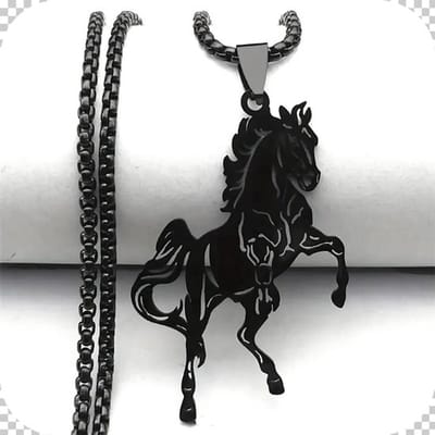 My Sweet Romance® Paarden Ketting - Zwart - Steigerend Paard Hanger